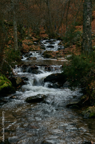 Small waterfalls in the bed of the Sestil de Ma  llo stream. Autumn in the Sierra de Guadarrama National Park. Madrid s community. Spain