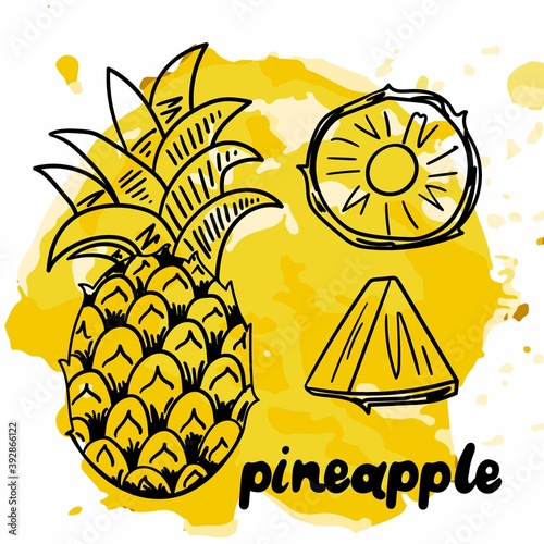 Pineapple sketch. Black line icon on abstract bright yellow background, exotic tropical fruit, fresh whole and slice juicy ananas vector isolated single illustration with text