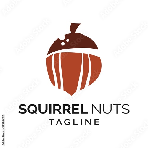 Squirrel nut modern logo design