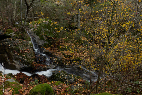 Small waterfalls in the bed of the Sestil de Ma  llo stream. Autumn in the Sierra de Guadarrama National Park. Madrid s community. Spain