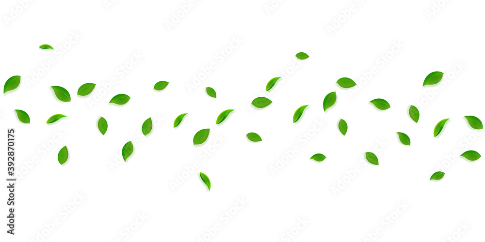 Falling green leaves. Fresh tea random leaves flyi Falling green leaves. Fresh tea random leaves flyi