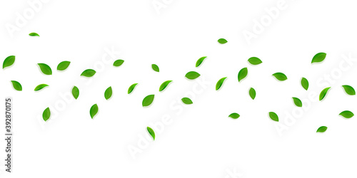 Falling green leaves. Fresh tea random leaves flyi