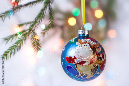 Christmas decoration - a hand-painted ball with the symbol of the Year of the Ox hanging on the Christmas tree. In the background, a branch of a fir tree and glittering lights of a garland.