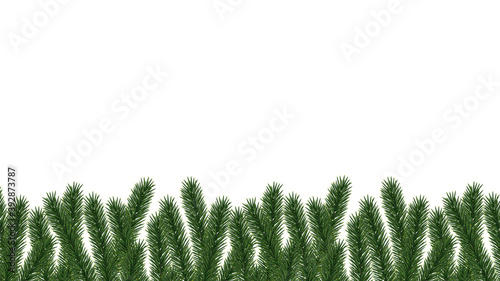 Green Christmas tree natural seamless border on white background