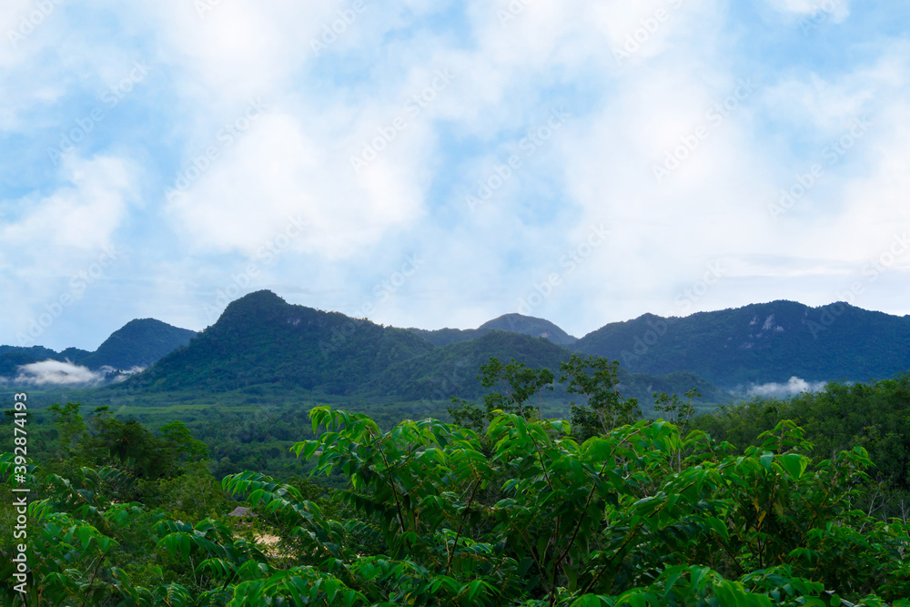 Fototapeta premium Mountains green forest in aerial view. Landscape beautiful blue sky with fluffy white clouds in a day.