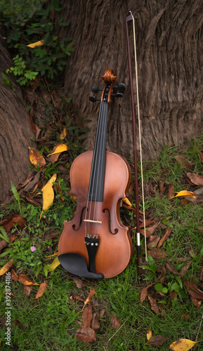 Wallpaper Mural Violin and bow put on green grass ground floor Torontodigital.ca