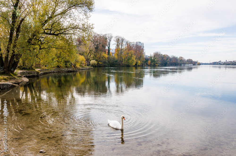 Rheinfelden, Rhein, Inseli, Burgstell, Insel, Schifflände, Rheinufer