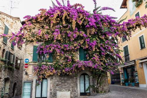 Fototapeta Naklejka Na Ścianę i Meble -  Sirmione Italy 09/25/2020. Old house  with beautiful flowers in Sirmione Italy.