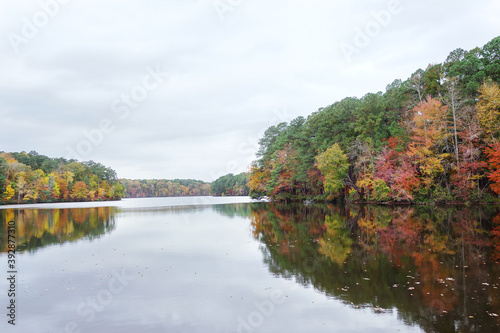 Fall leaves at Lake Johnson in Raleigh NC