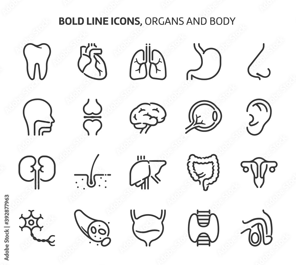 Organs, bold line icons. Organs, bold line icons.