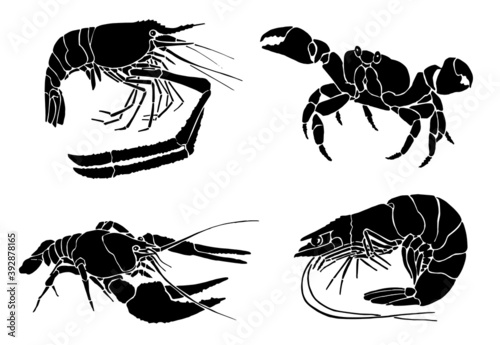 Graphical set of sea-food isolated on white background, vector illustration, marine life