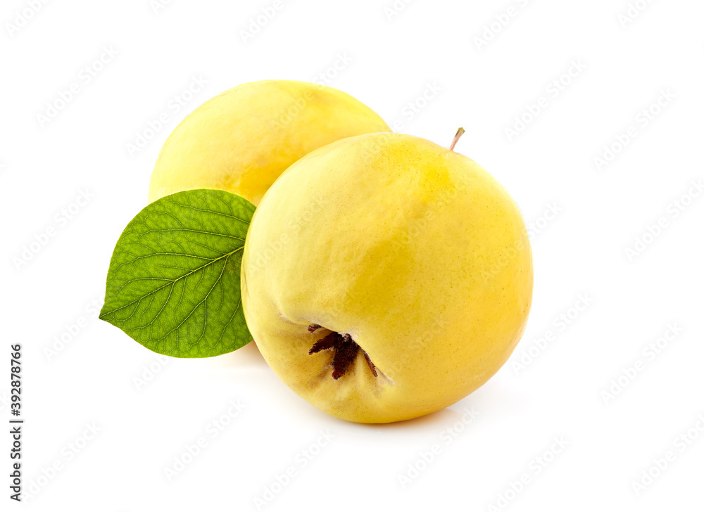 Quince with leaf on a white background isolated Quince with leaf on a white background isolated