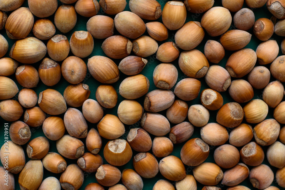 the frame is filled with hazelnuts that lie tightly to each other