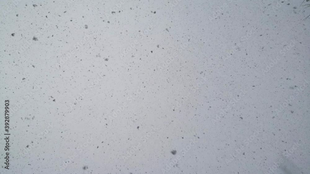 snow is falling from the cloudy sky, the camera shoots to the sky. snow is falling from the cloudy sky, the camera shoots to the sky.