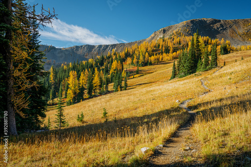 Pasayten Wilderness in Fall photo