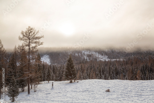Winter landscape at cloudy sunset, Altai, Russia