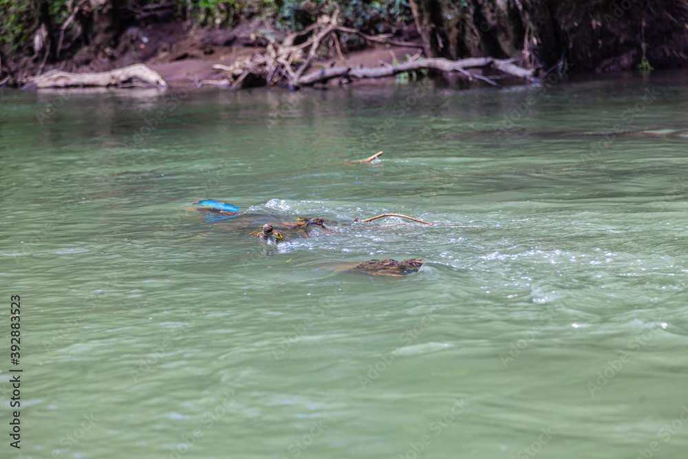 Obraz premium Costa Rica beautiful nature