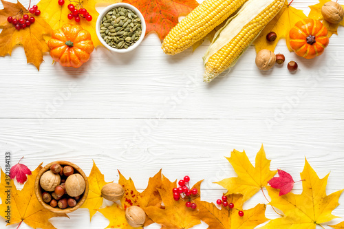 Autumn or Thanksgiving background with leaves and pumpkins