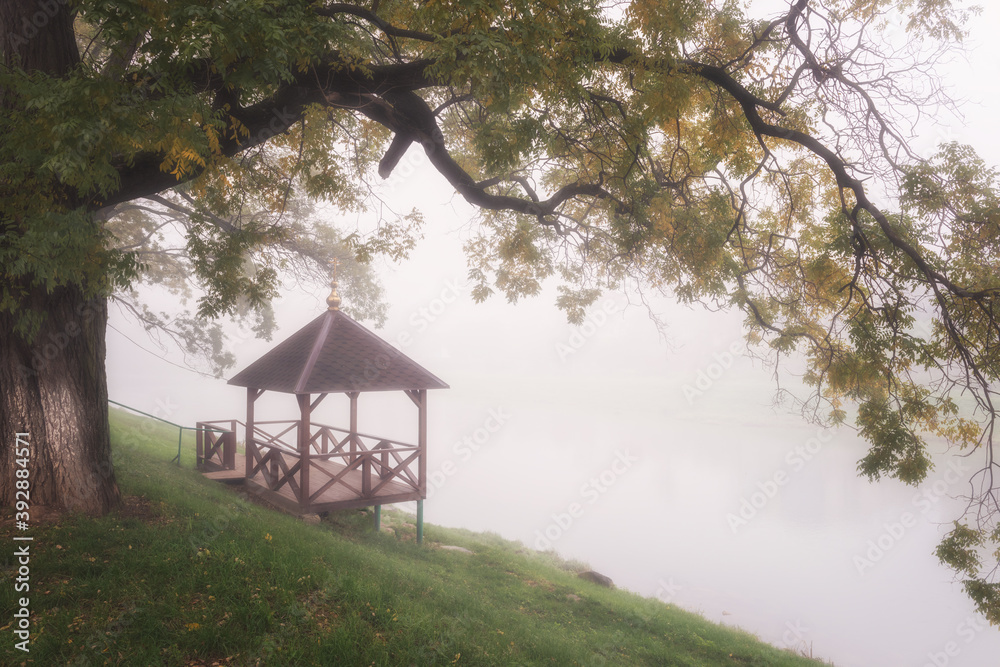 Foggy alley in autumn city park, beautiful misty landscape with alcove over the river and bizarre tree branch, outdoor travel background, Uzhhorod, Ukraine