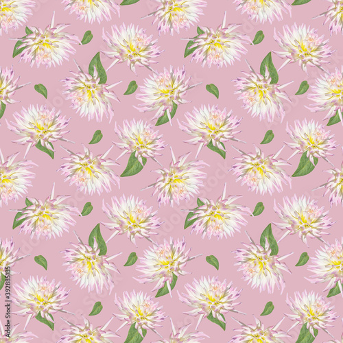 Seamless pattern with dahlia on pink background © ausra