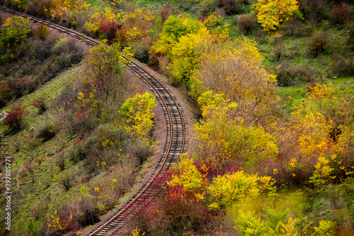 Russian Straight Railway with trees. Landscape with railroad, summer time traveling, freedom of movement. photo