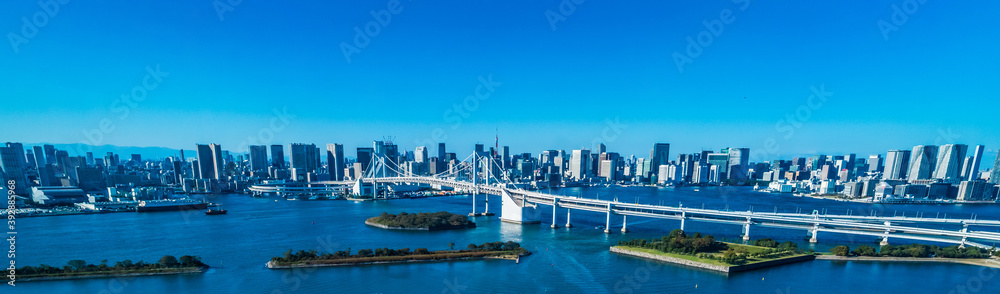 Obraz premium お台場の展望台から見た東京の高層ビル群とレインボーブリッジ