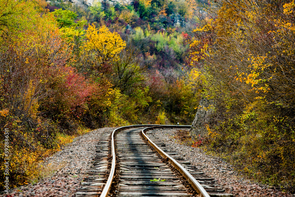 Obraz premium Russian Straight Railway with trees. Landscape with railroad, summer time traveling, freedom of movement.