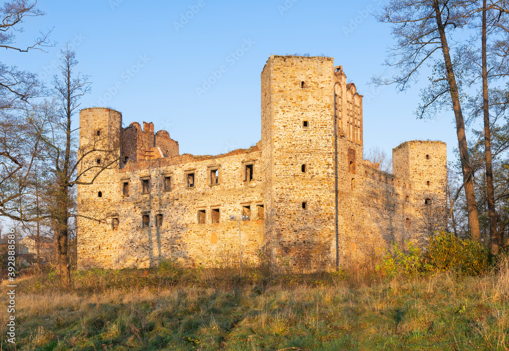 Bishop's castle in Drzewica, Poland
