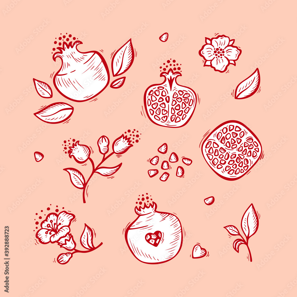 Hand drawn Doodle Fruits. Pomegranate Fruit, Flowers and Leaves Vector set