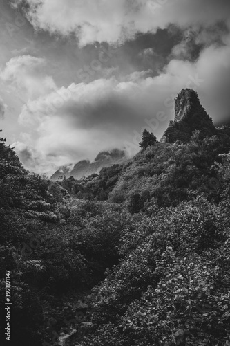mountains in the fog