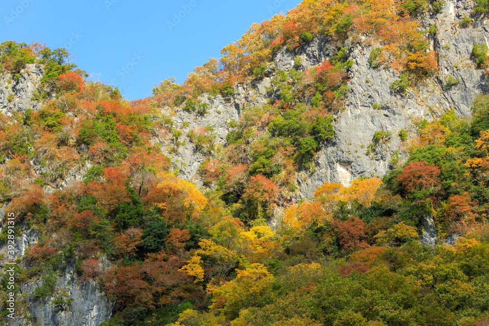 紅葉した井倉峡