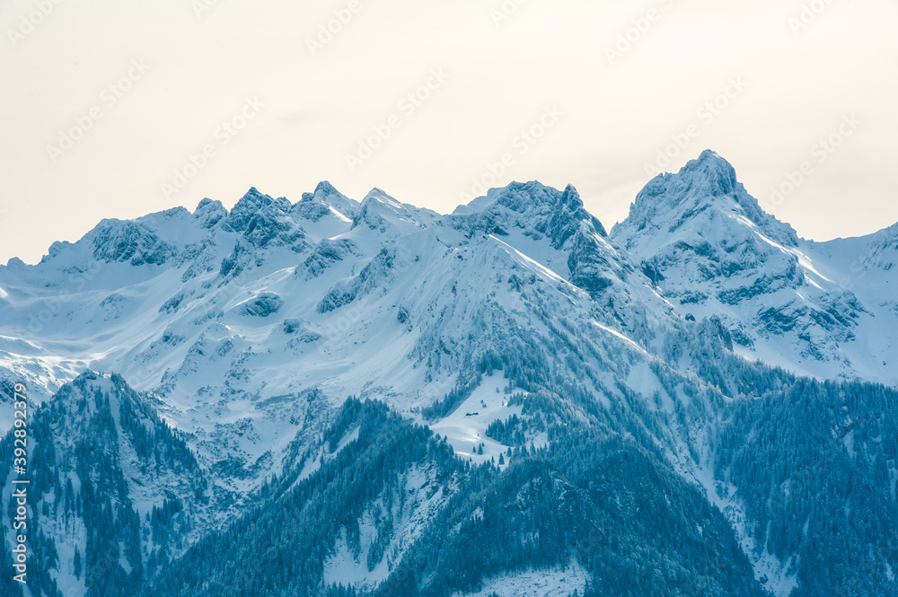 Winter Grosses Walsertal Vorarlberg