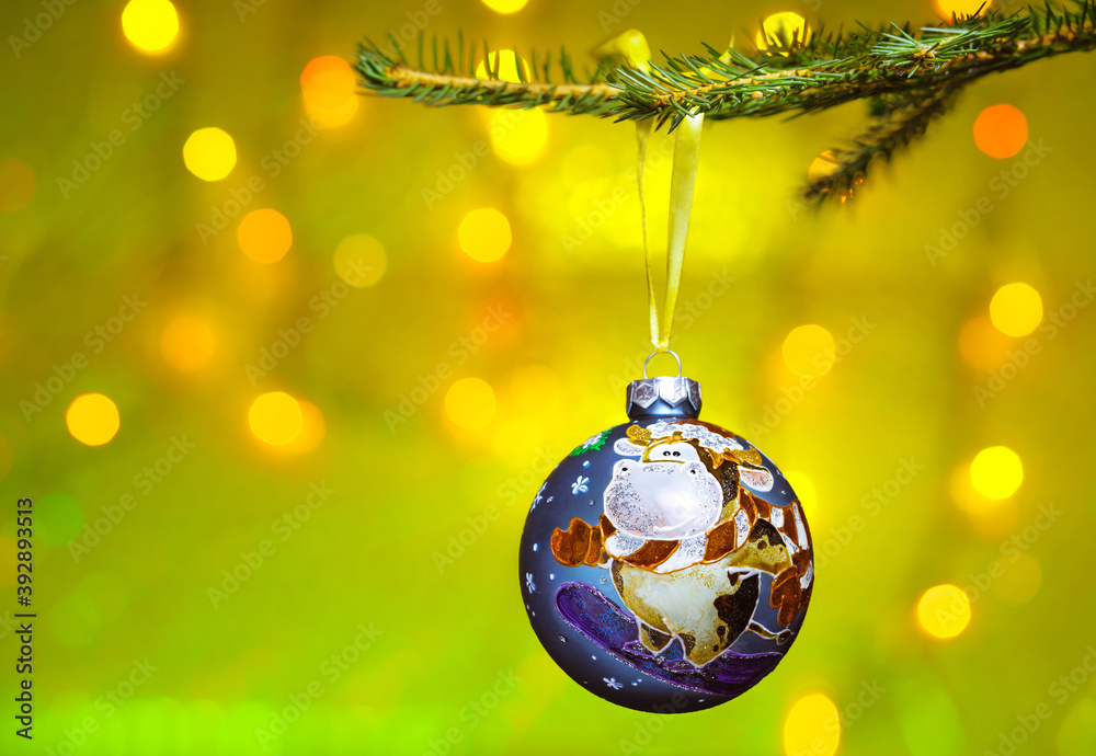 Christmas decoration - a hand-painted ball with the symbol of the Year of the Ox hanging on the Christmas tree. In the background, blurry flickering lights of a garland. Christmas decoration - a hand-painted ball with the symbol of the Year of the Ox hanging on the Christmas tree. In the background, blurry flickering lights of a garland.