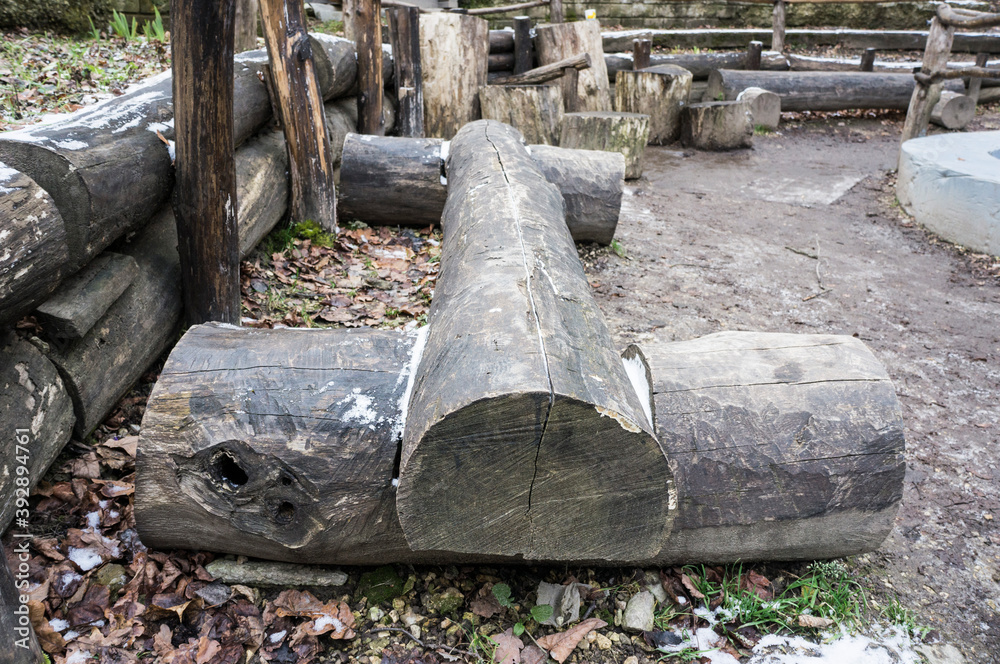 Obraz premium Bench made of a whole old log, a place to relax in the woods