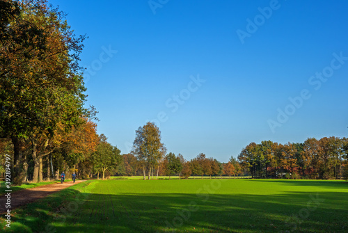 Rural landscape in autumn colors near Winterswijk, Netherlands 