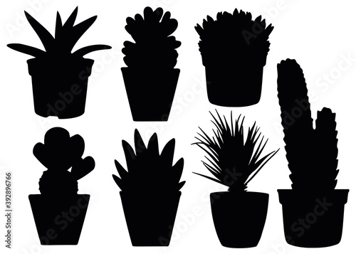 Home flowers in the set. Vector image.