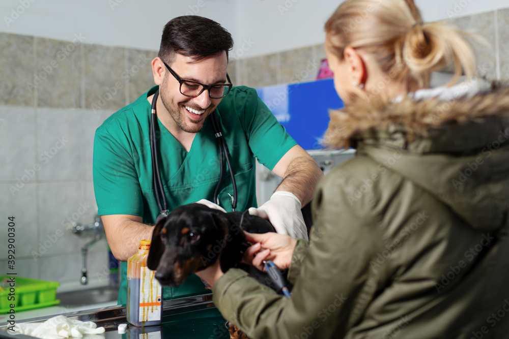 Φωτογραφία Dog at the vet clinic. Veterinarian and dog at veterinary clinic.