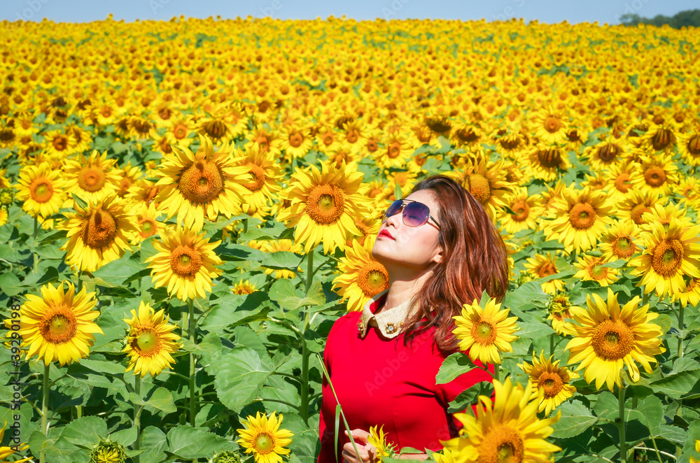 Portriat Beautiful young woman in a field of sunflowers in a red dress Portriat Beautiful young woman in a field of sunflowers in a red dress