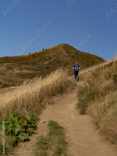 Fototapeta Naklejka Na Ścianę i Meble -  Połonina Caryńska - Bieszczady