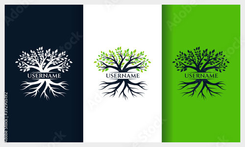 Tree of life logo design, nature tree illustration logo template
