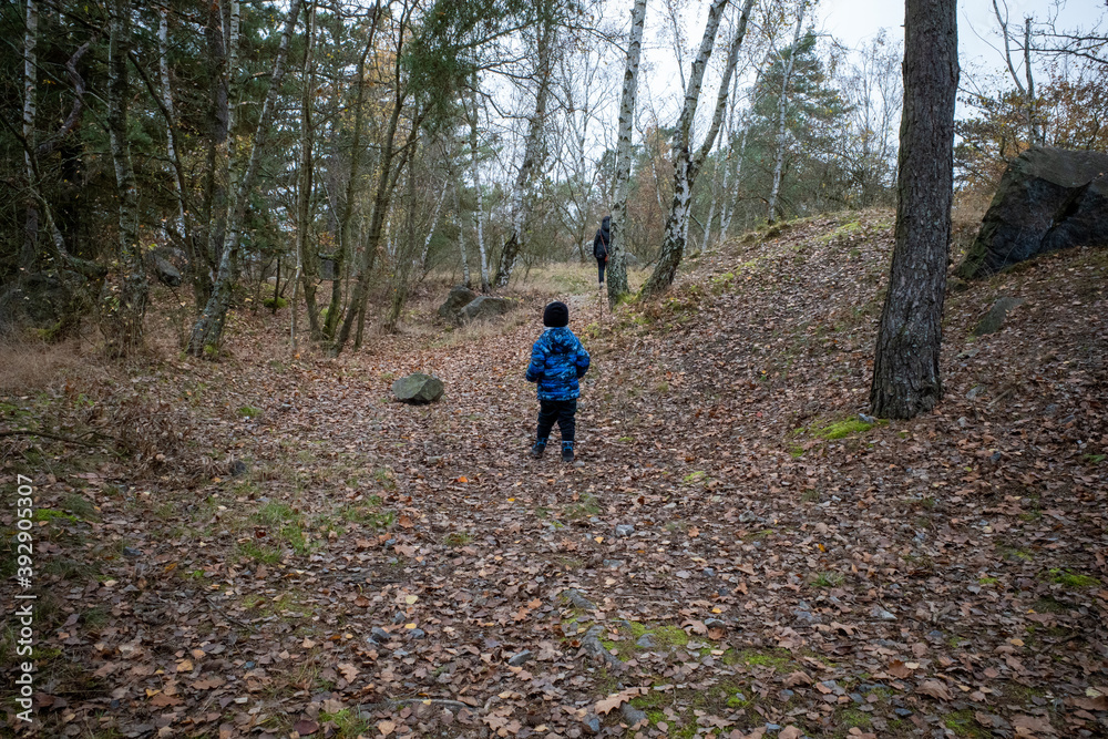 A child standing in a forest where fallen leaves are from the trees. Mother a little further. A child standing in a forest where fallen leaves are from the trees. Mother a little further.