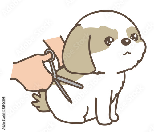 子犬のトリミング　シーズー