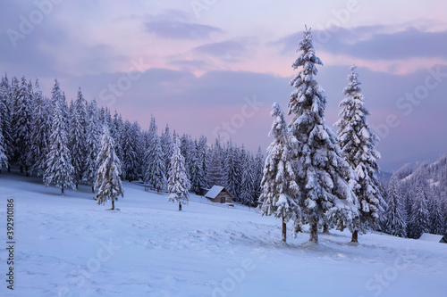 Winter scenery. Awesome sunrise. Old wooden hut on the lawn covered with snow. Landscape of high mountains and forests. Wallpaper background. Location place Carpathian, Ukraine, Europe.