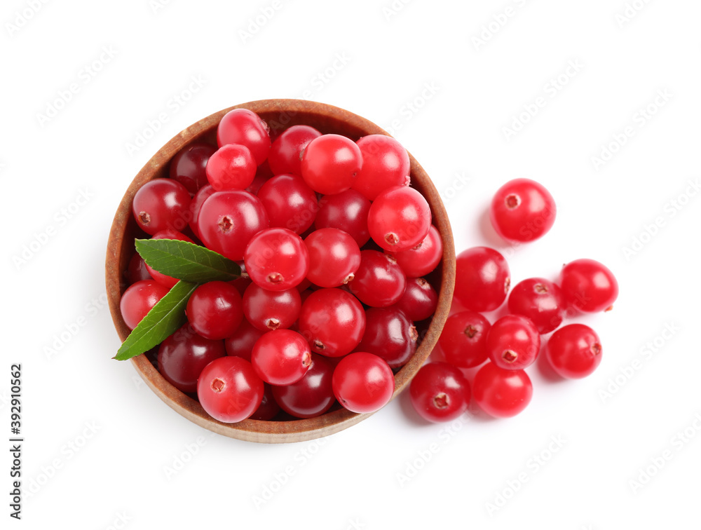 Fresh ripe cranberries with leaves on white background, top view Fresh ripe cranberries with leaves on white background, top view