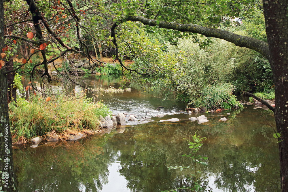 Natural landscape in the forest, trees, river and reflections Natural landscape in the forest, trees, river and reflections