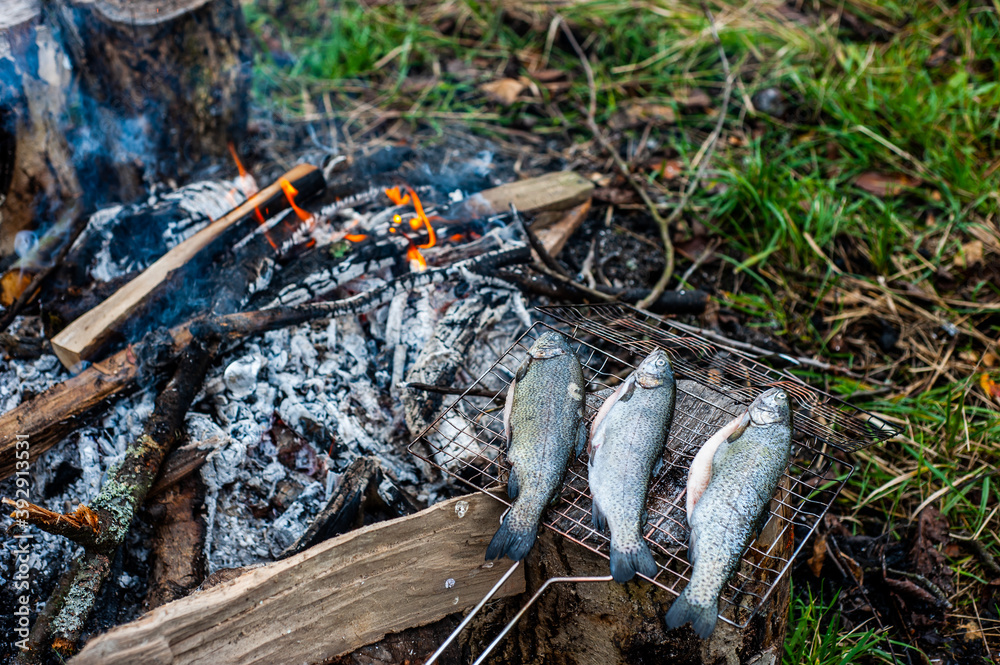 Obraz premium Grilled fish with smoke on a charcoal barbecue. Close up fish on the grill