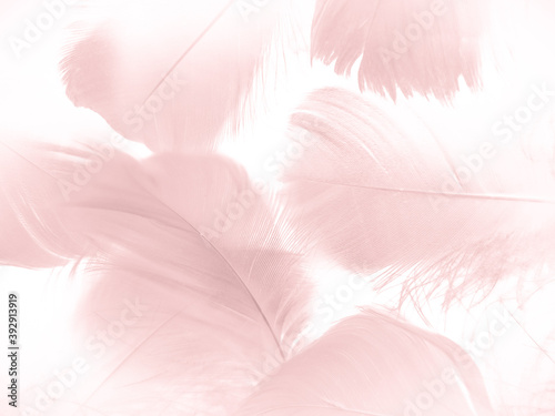 Beautiful abstract light pink feathers on white background   white feather frame texture on pink pattern and pink background  love theme wallpaper and valentines day