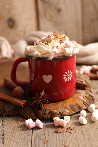 hot chocolate milk and whipped cream with marshmallow