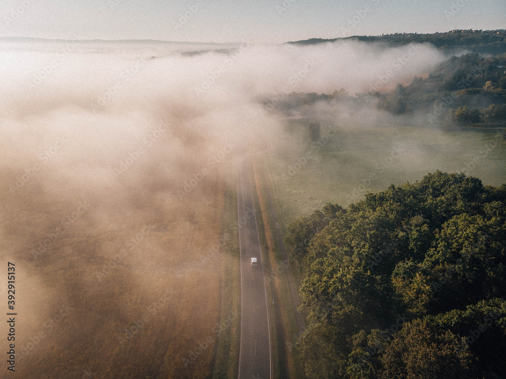 fog over the road