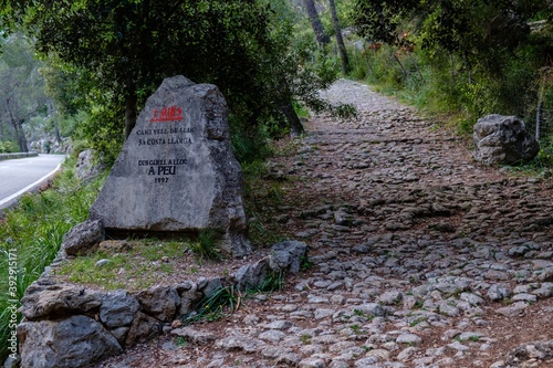 camino Vell de Lluc, Caimari, Paraje natural de la Serra de Tramuntana, Mallorca, balearic islands, Spain photo